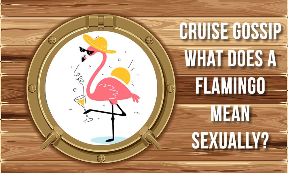 What do flamingos mean sexually?