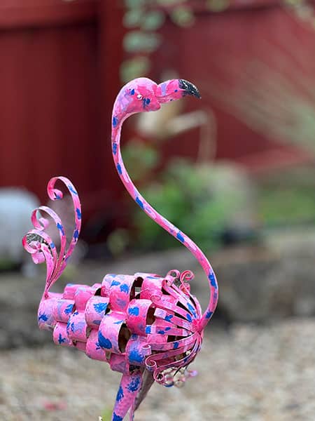 What Does A Flamingo Mean Sexually - Innocent Garden Ornaments Take Offence!