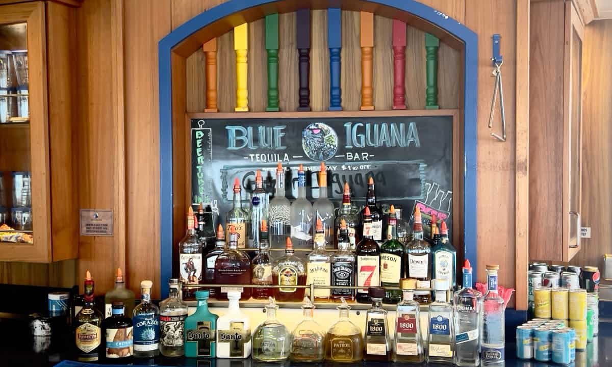 Carnival Cruise What Drinks are free - a bar full of drink bottles at the blue iguana bar